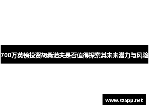 700万英镑投资胡桑诺夫是否值得探索其未来潜力与风险