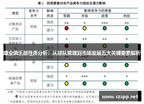 建业俱乐部性质分析：从球队管理到市场发展五大关键要素解析
