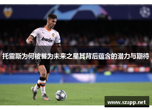 托雷斯为何被誉为未来之星其背后蕴含的潜力与期待