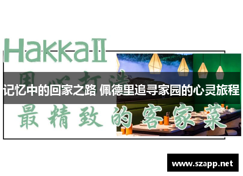 记忆中的回家之路 佩德里追寻家园的心灵旅程